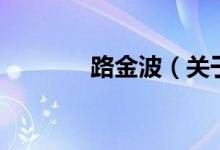 路金波（關于路金波的介紹）