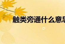 觸類旁通什么意思（觸類旁通的意思）