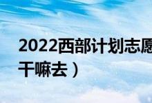 2022西部計(jì)劃志愿者有什么出路（結(jié)束后能干嘛去）