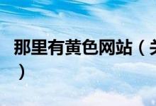 那里有黃色網(wǎng)站（關(guān)于那里有黃色網(wǎng)站的介紹）
