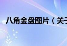 八角金盤圖片（關(guān)于八角金盤圖片的介紹）