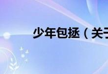 少年包拯（關(guān)于少年包拯的介紹）