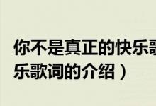 你不是真正的快樂歌詞（關于你不是真正的快樂歌詞的介紹）