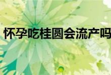 懷孕吃桂圓會流產(chǎn)嗎（懷孕了可以吃桂圓嗎）
