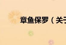 章魚保羅（關(guān)于章魚保羅的介紹）