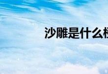 沙雕是什么梗（沙雕的釋義）