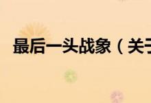 最后一頭戰(zhàn)象（關(guān)于最后一頭戰(zhàn)象的介紹）