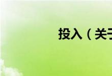 投入（關(guān)于投入的介紹）