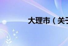 大理市（關于大理市的介紹）