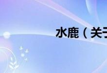 水鹿（關(guān)于水鹿的介紹）