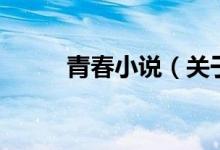 青春小說（關于青春小說的介紹）