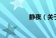 靜夜（關于靜夜的介紹）