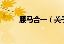 腰馬合一（關(guān)于腰馬合一的介紹）