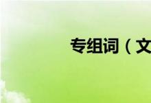 專組詞（文字專怎么組詞）