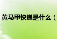 黃馬甲快遞是什么（黃馬甲是什么快遞公司）