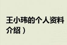 王小瑋的個(gè)人資料（關(guān)于王小瑋的個(gè)人資料的介紹）