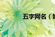 五字網(wǎng)名（好聽的五字網(wǎng)名）