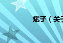 斌子（關(guān)于斌子的介紹）