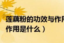 蓮藕粉的功效與作用是什么（蓮藕粉的功效與作用是什么）