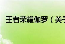 王者榮耀伽羅（關(guān)于王者榮耀伽羅的介紹）