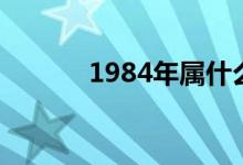 1984年屬什么（1984年屬鼠）