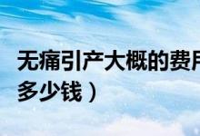 無痛引產(chǎn)大概的費用是多少錢?。o痛引產(chǎn)要多少錢）