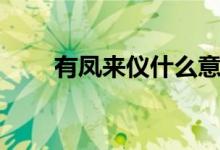 有鳳來(lái)儀什么意思（有鳳來(lái)儀解釋）