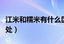 江米和糯米有什么區(qū)別（江米和糯米的不同之處）