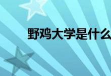 野雞大學(xué)是什么意思（有什么特點(diǎn)）