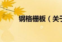 鋼格柵板（關(guān)于鋼格柵板的介紹）