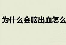 為什么會(huì)腦出血怎么預(yù)防（為什么會(huì)腦出血）