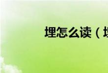 埋怎么讀（埋字讀音和釋義）