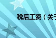 稅后工資（關(guān)于稅后工資的介紹）