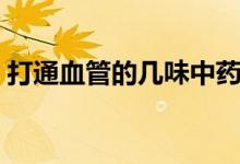 打通血管的幾味中藥（打通血管的幾味中藥）