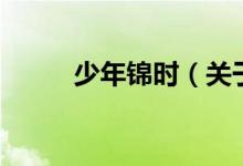 少年錦時（關(guān)于少年錦時的介紹）