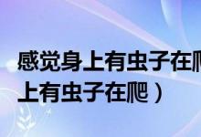 感覺身上有蟲子在爬實際沒東西很癢（感覺身上有蟲子在爬）