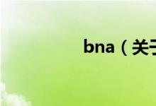 bna（關(guān)于bna的介紹）