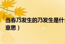 當(dāng)春乃發(fā)生的乃發(fā)生是什么意思（當(dāng)春乃發(fā)生的乃發(fā)生什么意思）
