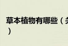 草本植物有哪些（關(guān)于草本植物有哪些的介紹）