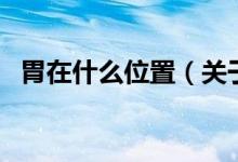 胃在什么位置（關于胃在什么位置的介紹）