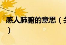 感人肺腑的意思（關(guān)于感人肺腑的意思的介紹）