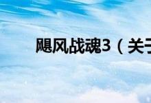 颶風(fēng)戰(zhàn)魂3（關(guān)于颶風(fēng)戰(zhàn)魂3的介紹）