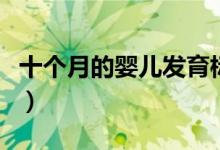十個月的嬰兒發(fā)育標(biāo)準(zhǔn)（十個月寶寶發(fā)育標(biāo)準(zhǔn)）