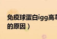 免疫球蛋白igg高蕁麻疹（免疫球蛋白igg高的原因）