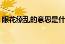 眼花繚亂的意思是什么（眼花繚亂什么意思）