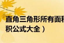 直角三角形所有面積公式大全（直角三角形面積公式大全）