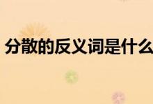分散的反義詞是什么（分散的反義詞有哪些）