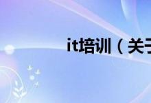 it培訓(xùn)（關(guān)于it培訓(xùn)的介紹）