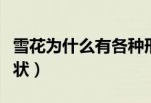 雪花為什么有各種形狀（雪花為什么有很多形狀）