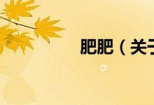 肥肥（關(guān)于肥肥的介紹）